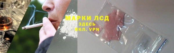 ECSTASY Алзамай
