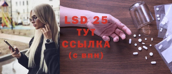 ECSTASY Алзамай