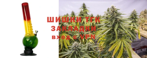 тгк Алексин