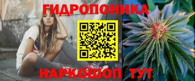 сатива Рязань