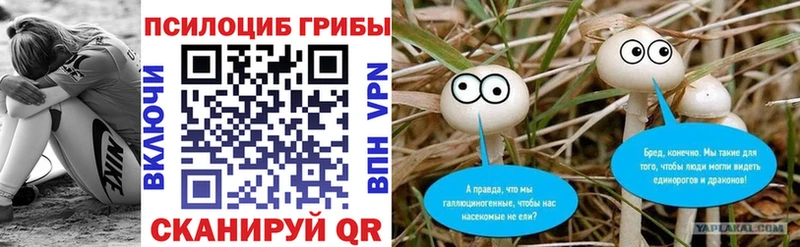 Галлюциногенные грибы Psilocybine cubensis  Нижнеудинск 