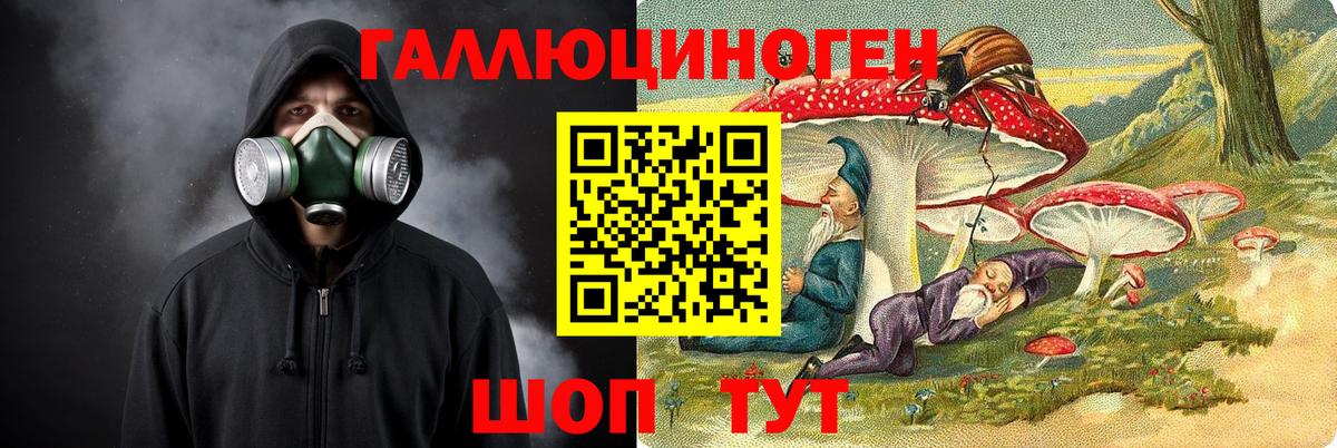 Нижнеудинск  Галлюциногенные грибы Psilocybe  Вход с VPN 