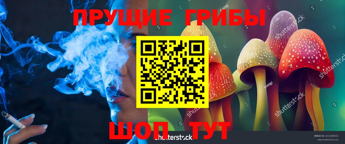 Галлюциногенные грибы мицелий Нижнеудинск